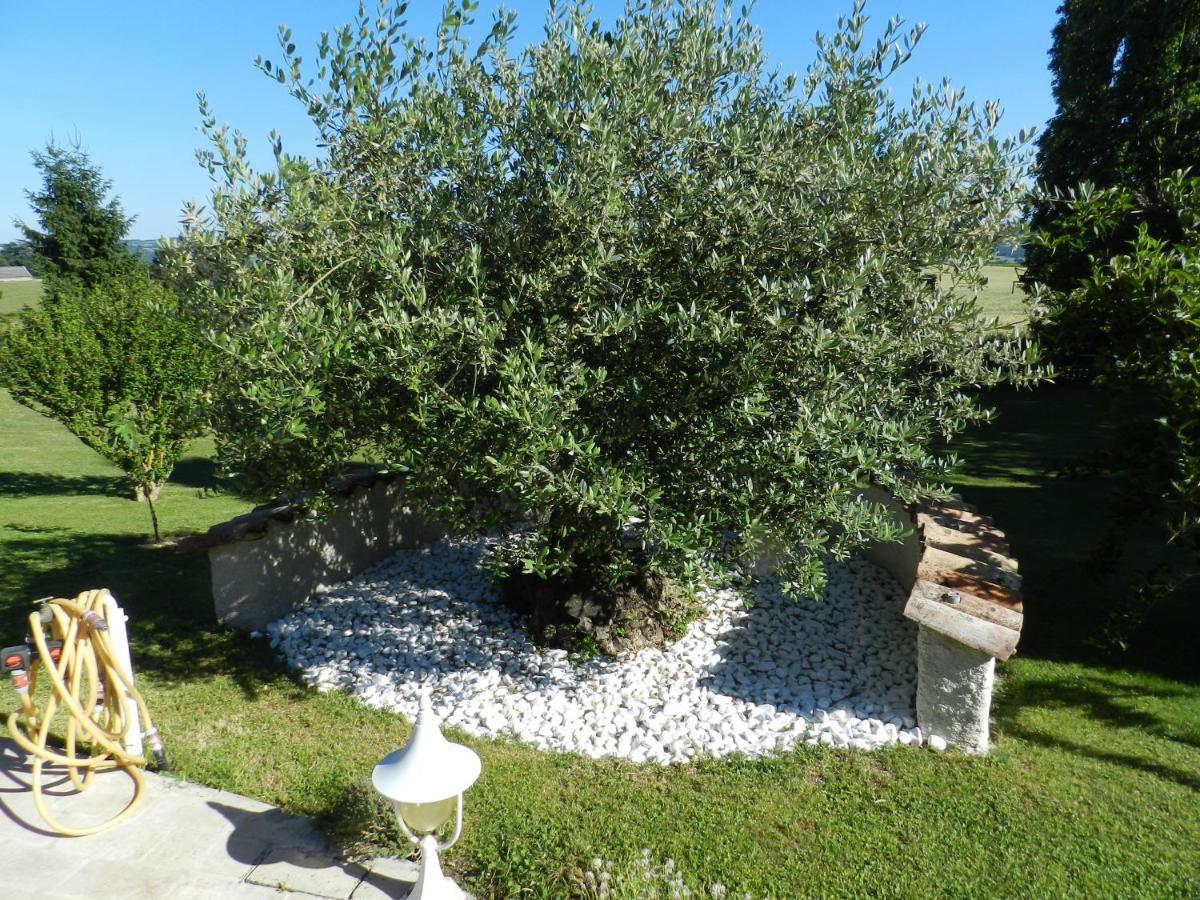 L'Alivu Bed and Breakfast Couches Εξωτερικό φωτογραφία