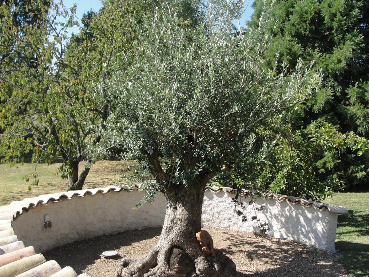 L'Alivu Bed and Breakfast Couches Εξωτερικό φωτογραφία
