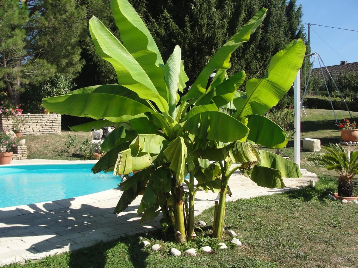 L'Alivu Bed and Breakfast Couches Εξωτερικό φωτογραφία