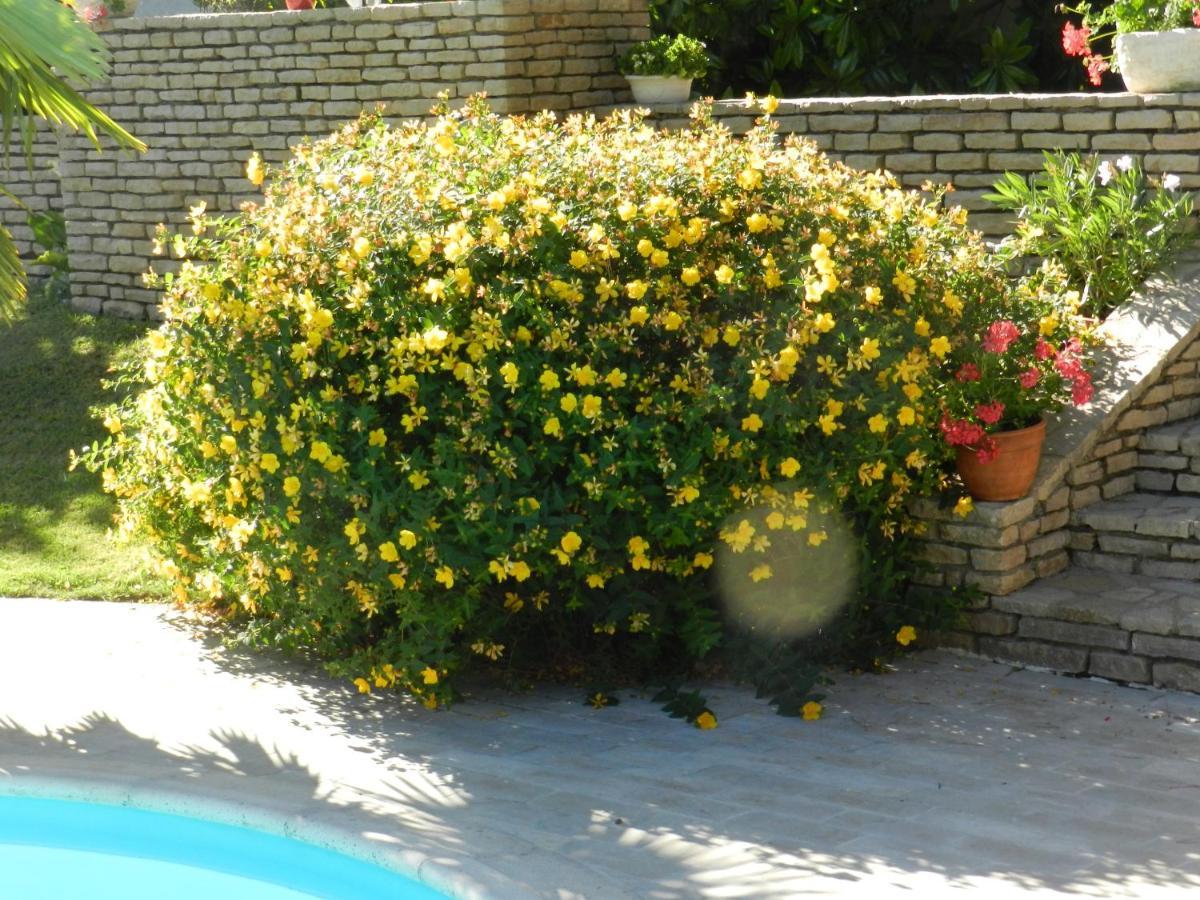 L'Alivu Bed and Breakfast Couches Εξωτερικό φωτογραφία